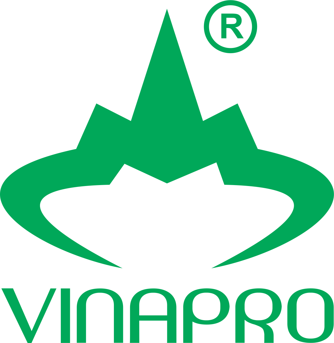 Thời trang thể thao VinaPro - Vinapro