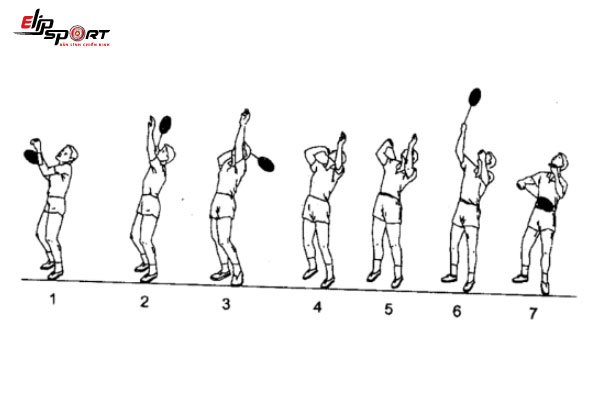 Những Cách Phát Cầu Lông Đúng Luật, Dễ Ghi Điểm